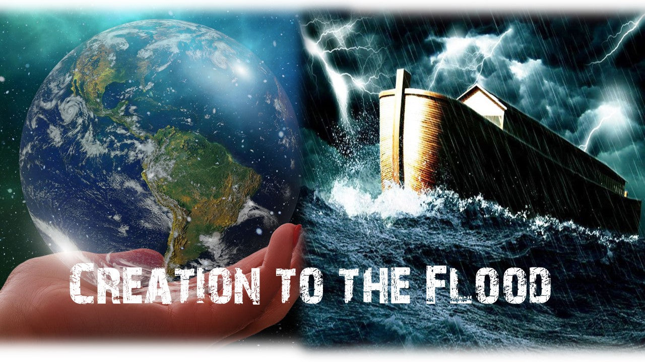 Bible Unit From Creation to the Flood grades 4-6